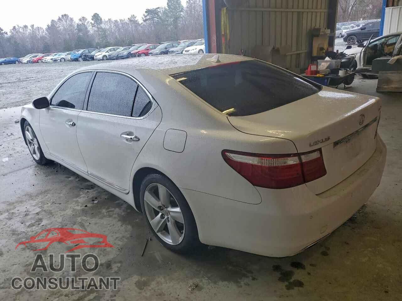 LEXUS LS460 2009 - JTHGL46F595036595