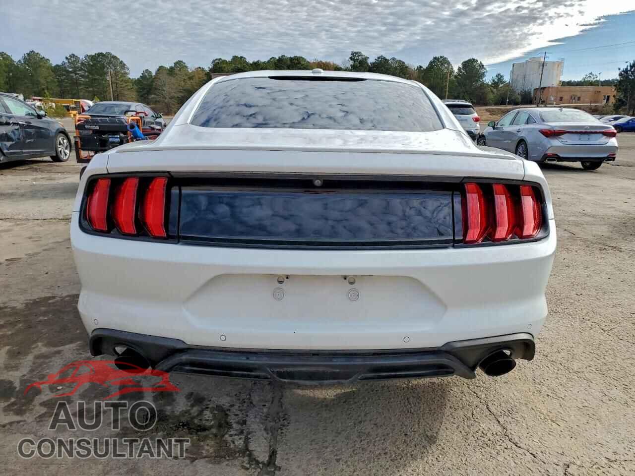 FORD ALL Models 2019 - 1FA6P8TH5K5203774