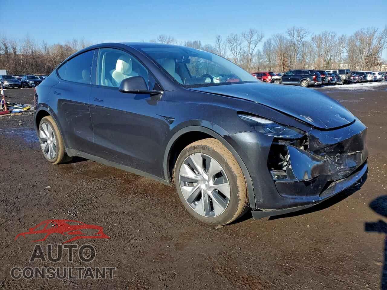 TESLA MODEL Y 2024 - 7SAYGDEE7RF983772