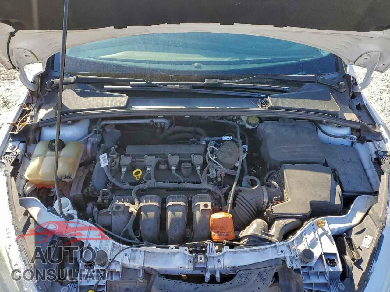 FORD FOCUS 2016 - 1FADP3E29GL238145