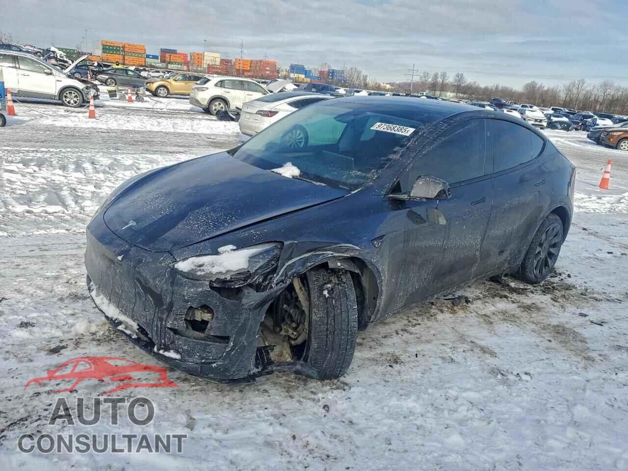 TESLA MODEL Y 2024 - 7SAYGDEE7RA281965