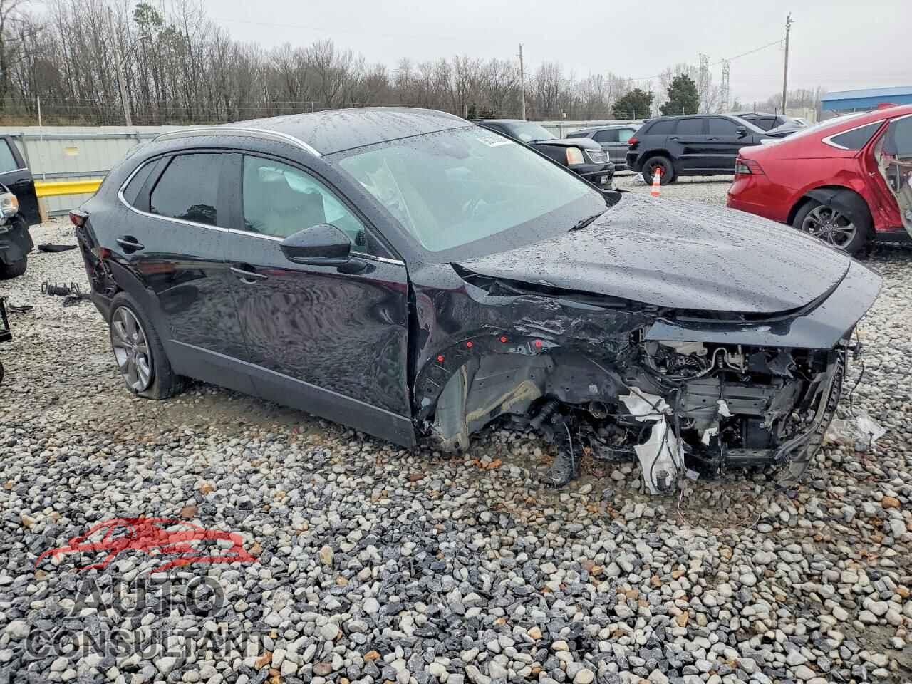 MAZDA CX30 2023 - 3MVDMBCM6PM525263