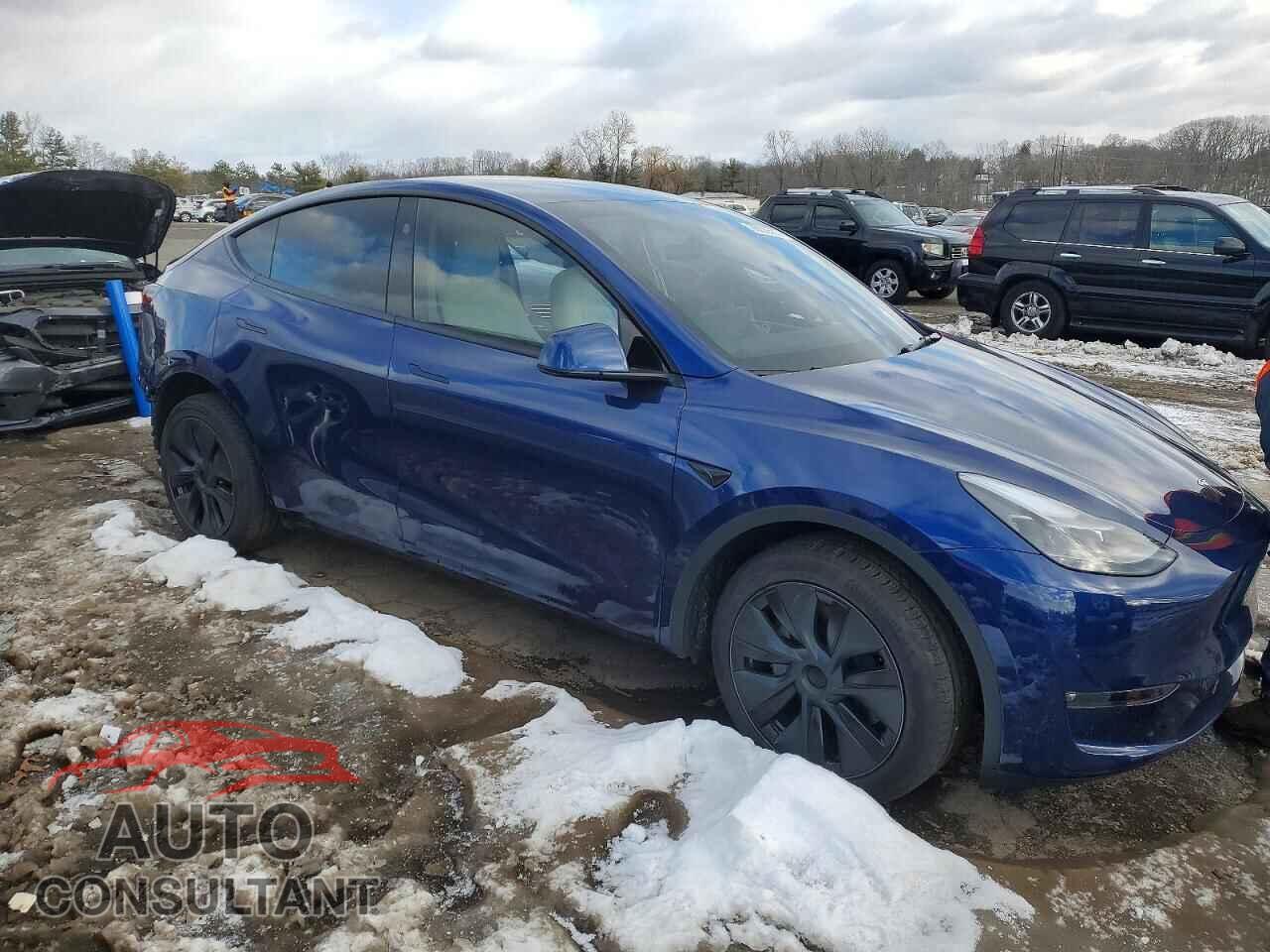 TESLA MODEL Y 2024 - 7SAYGDEE9RF180428