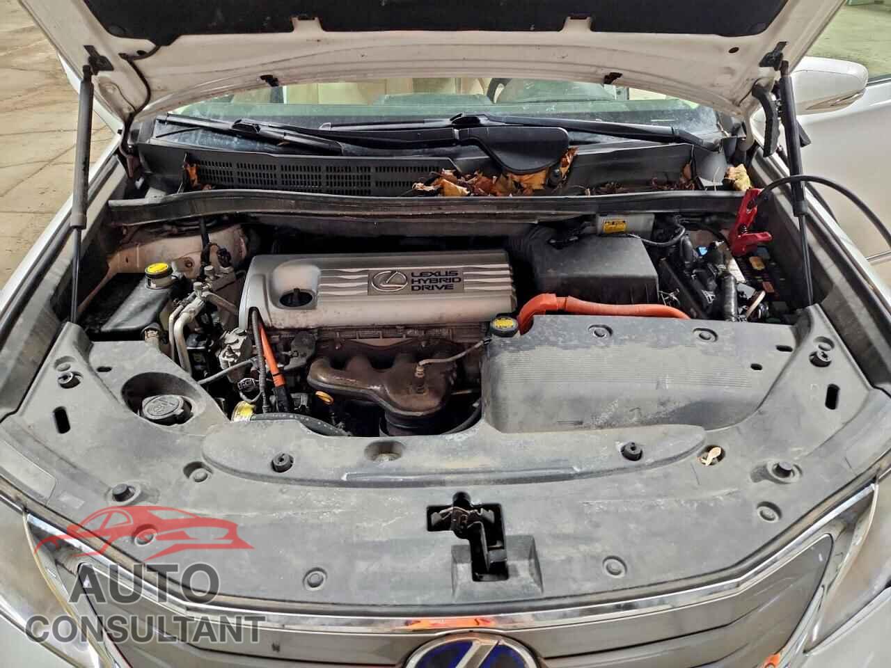 LEXUS HS 2010 - JTHBB1BA1A2004481