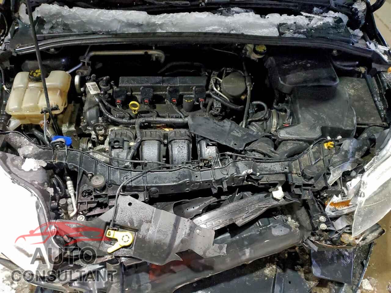 FORD FOCUS 2014 - 1FADP3F27EL445774