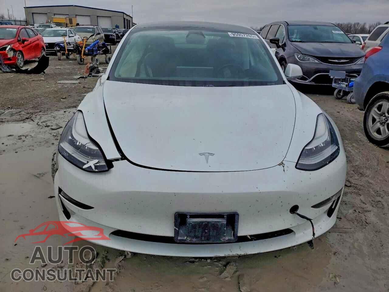 TESLA MODEL 3 2019 - 5YJ3E1EB3KF442421
