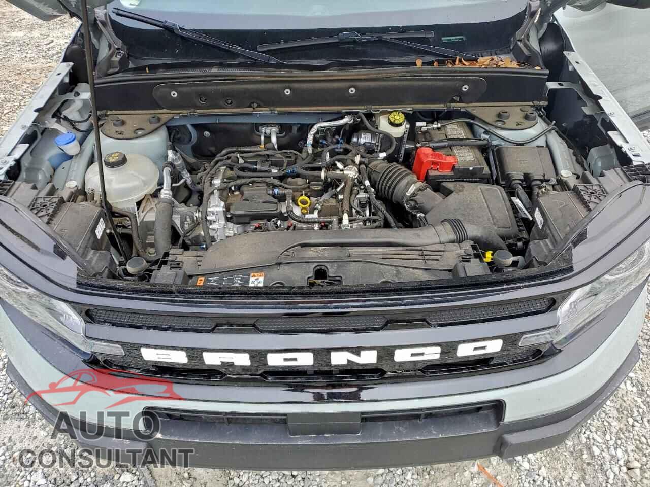 FORD BRONCO 2023 - 3FMCR9C67PRE34302