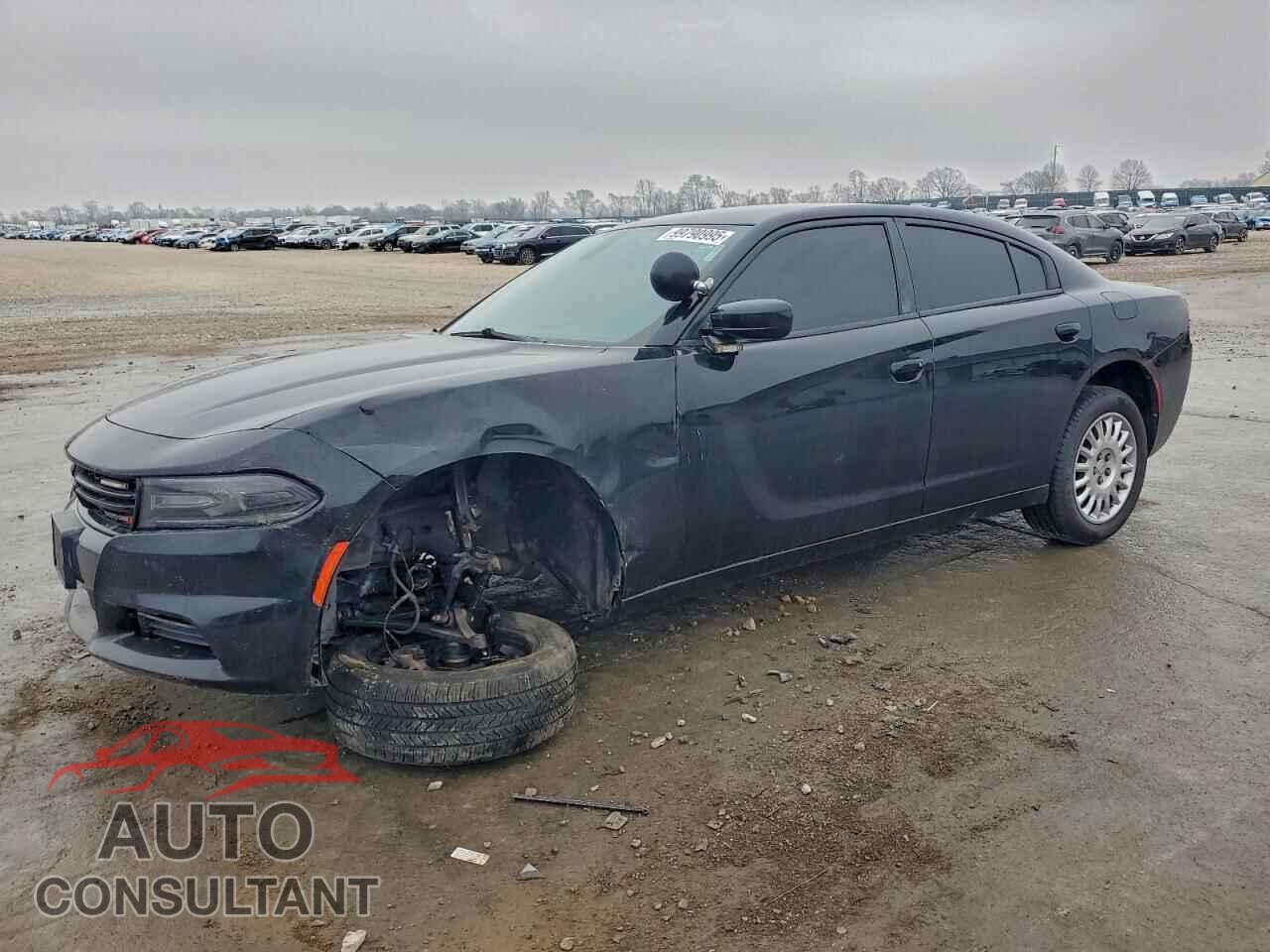 DODGE CHARGER 2019 - 2C3CDXKT9KH600634