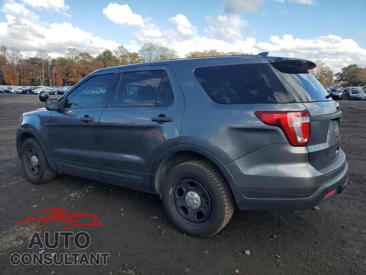 FORD EXPLORER 2019 - 1FM5K8AR8KGA93934