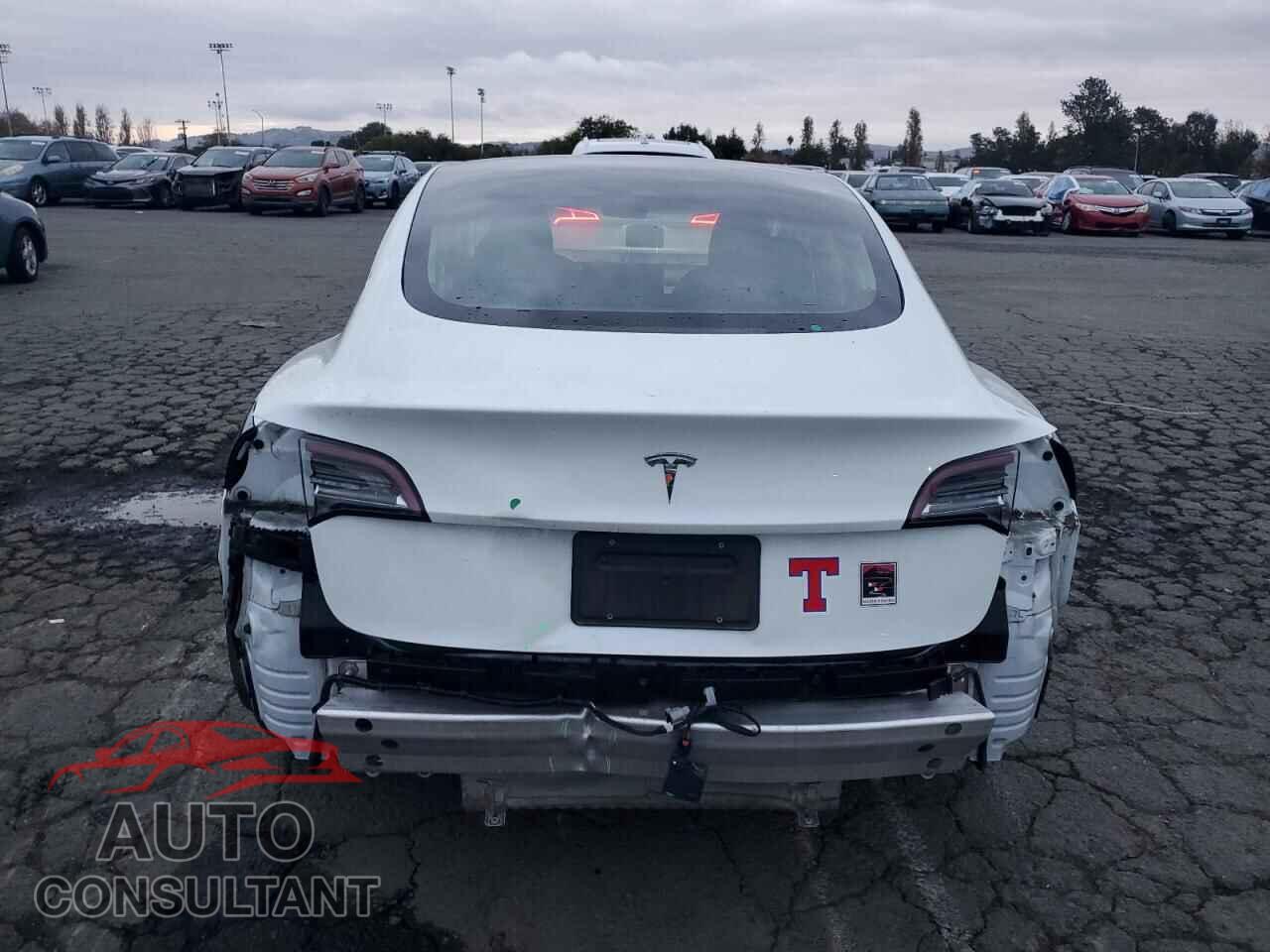 TESLA MODEL 3 2020 - 5YJ3E1EA3LF706391