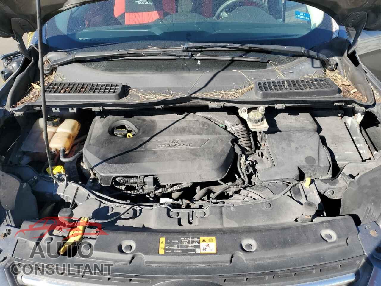 FORD ESCAPE 2014 - 1FMCU0GX1EUD85018