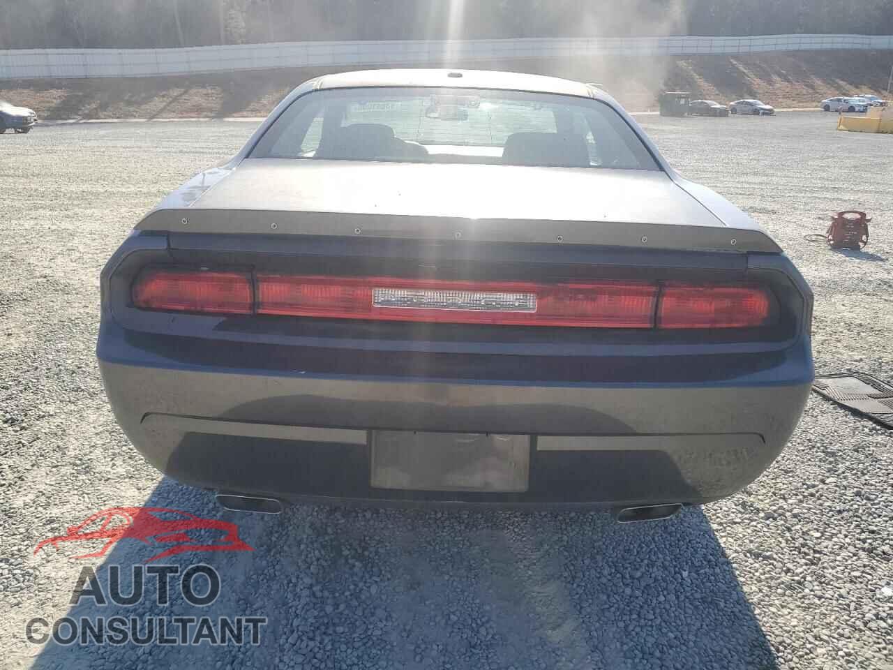 DODGE CHALLENGER 2013 - 2C3CDYAG9DH675024