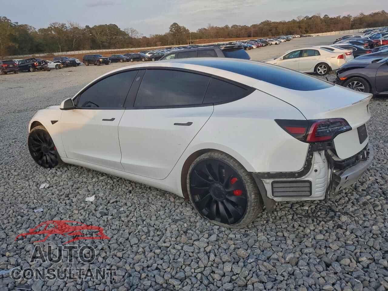 TESLA MODEL 3 2021 - 5YJ3E1EC2MF849741
