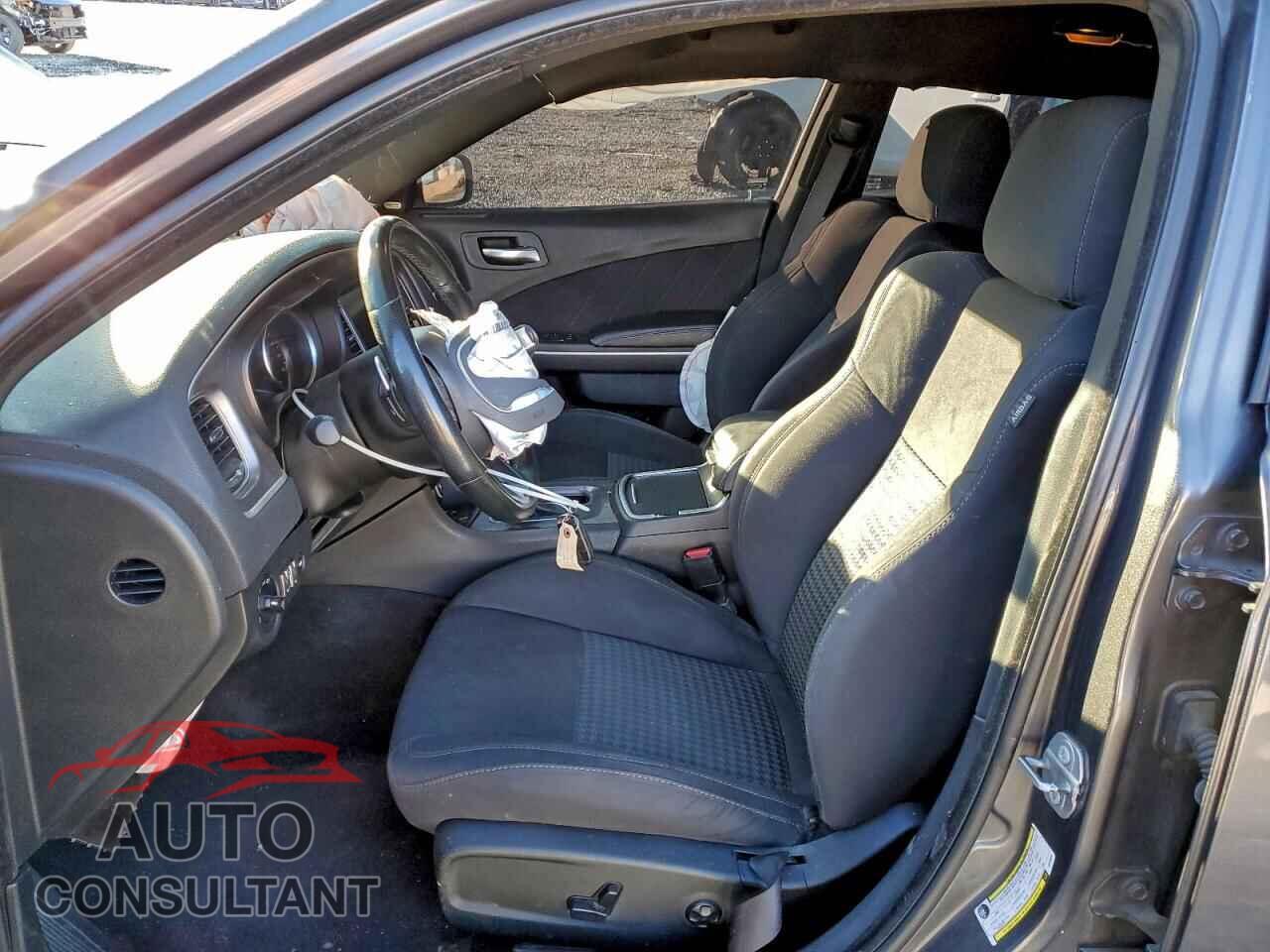 DODGE CHARGER 2019 - 2C3CDXCTXKH508284