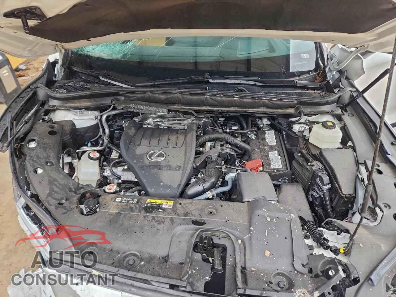 LEXUS RX350 2024 - 2T2BAMBA9RC030454