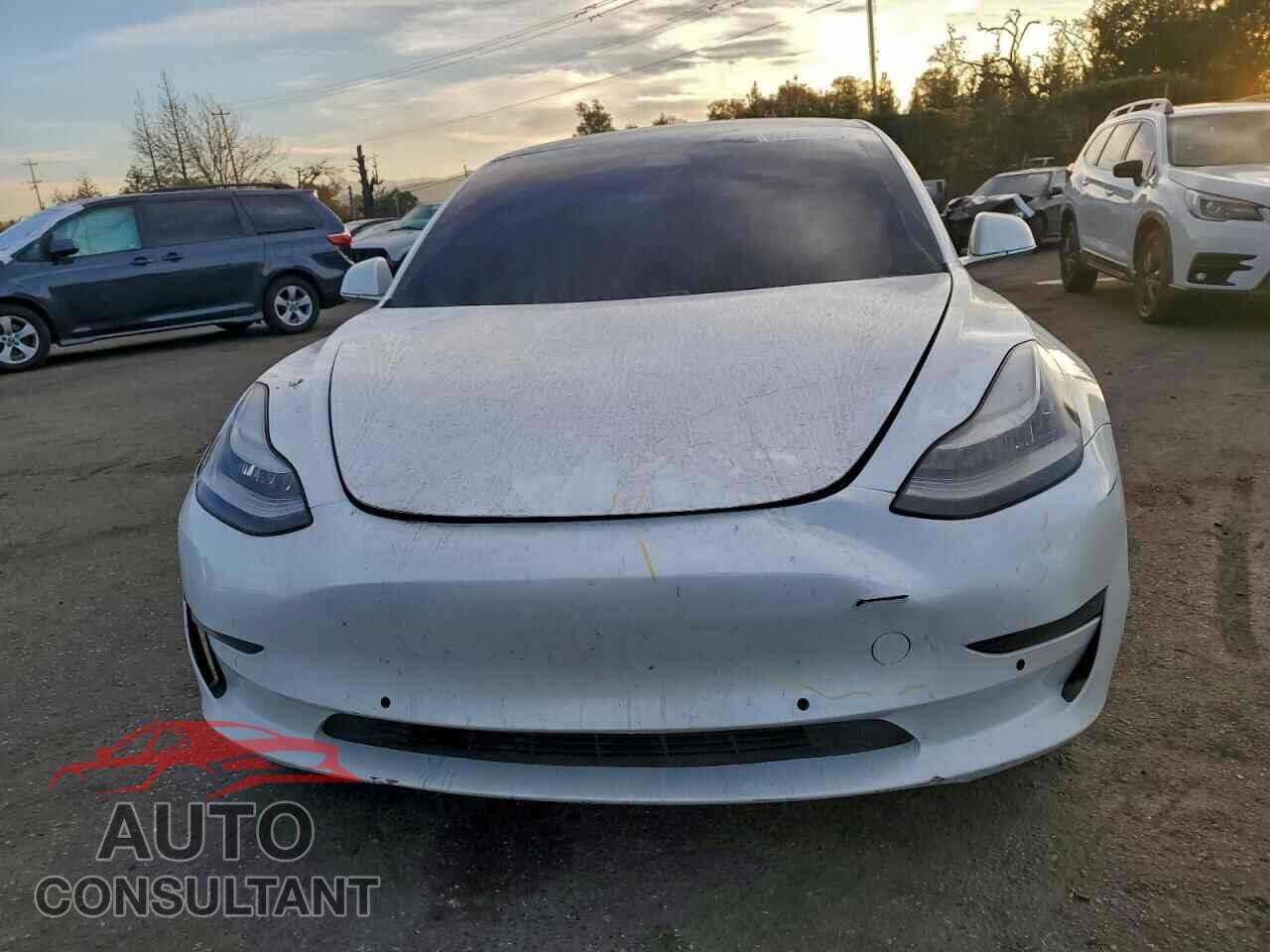 TESLA MODEL 3 2020 - 5YJ3E1EA5LF613193
