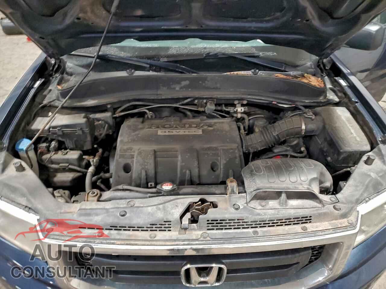 HONDA RIDGELINE 2010 - 5FPYK1F20AB003289