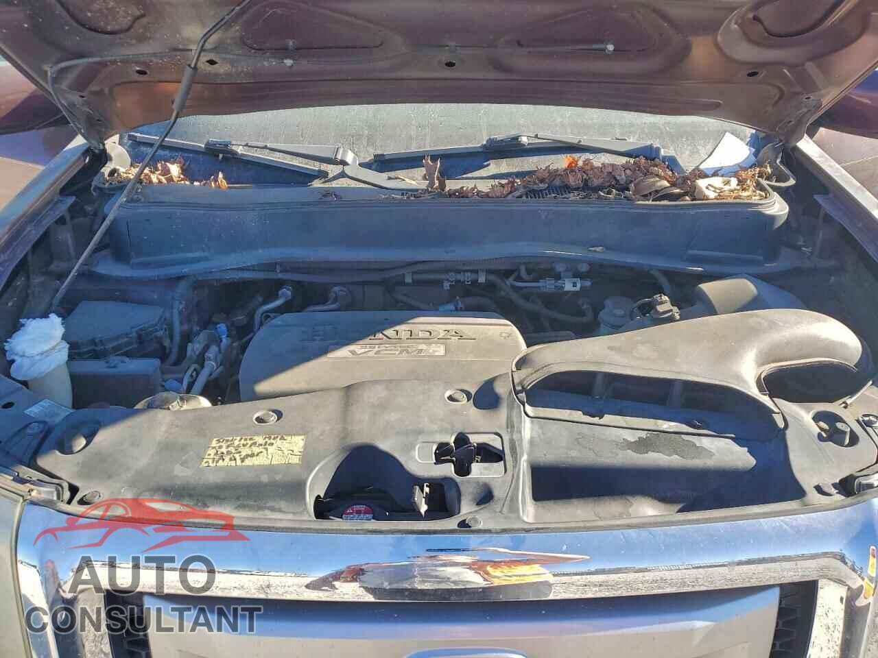 HONDA PILOT 2009 - 5FNYF38539B019773