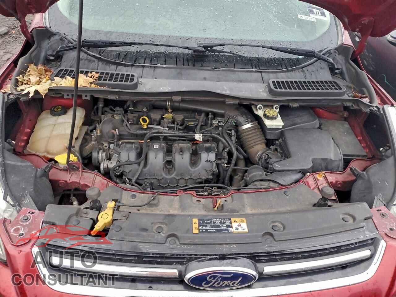 FORD ESCAPE 2014 - 1FMCU9J9XEUB11590