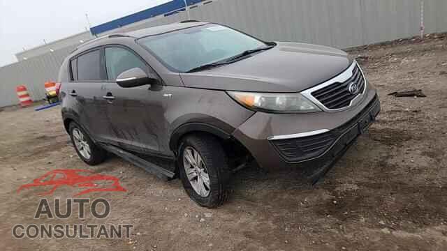 KIA SPORTAGE 2011 - KNDPBCA22B7081409