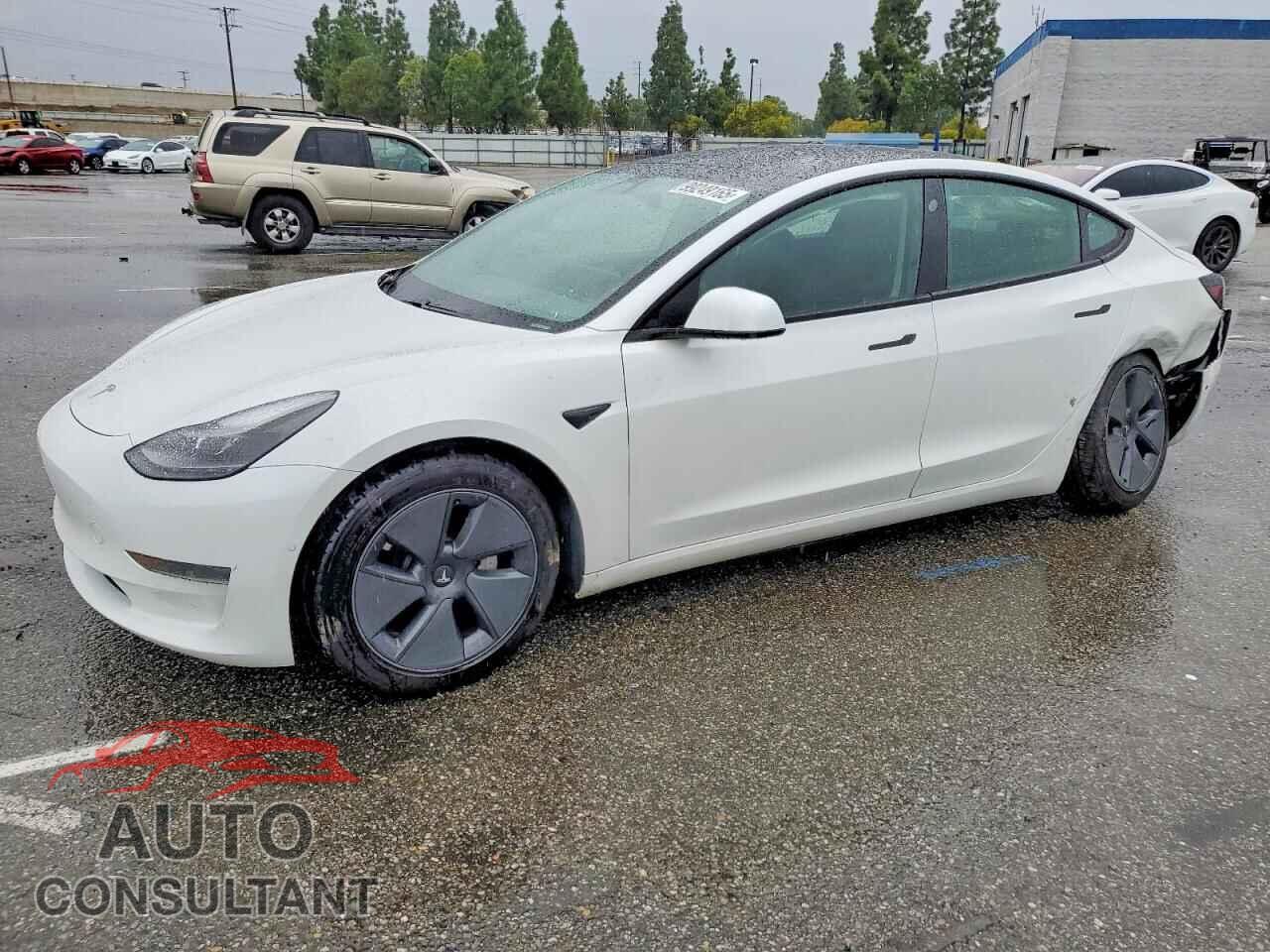 TESLA MODEL 3 2021 - 5YJ3E1EAXMF874059
