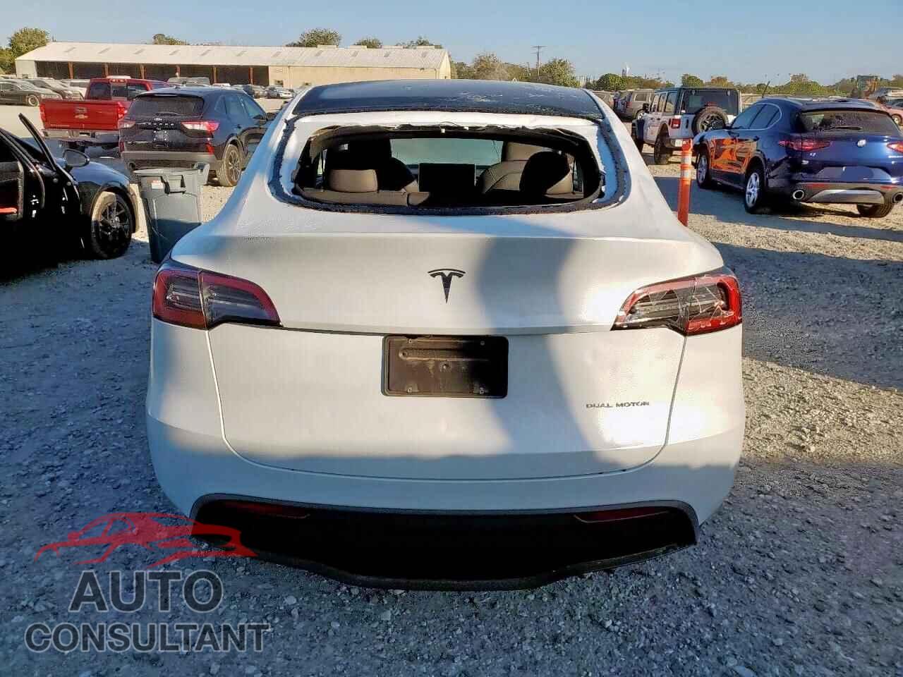TESLA MODEL Y 2024 - 7SAYGDEE3RA259817