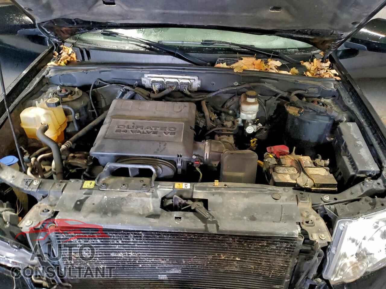 FORD ESCAPE 2010 - 1FMCU0EG3AKC25635