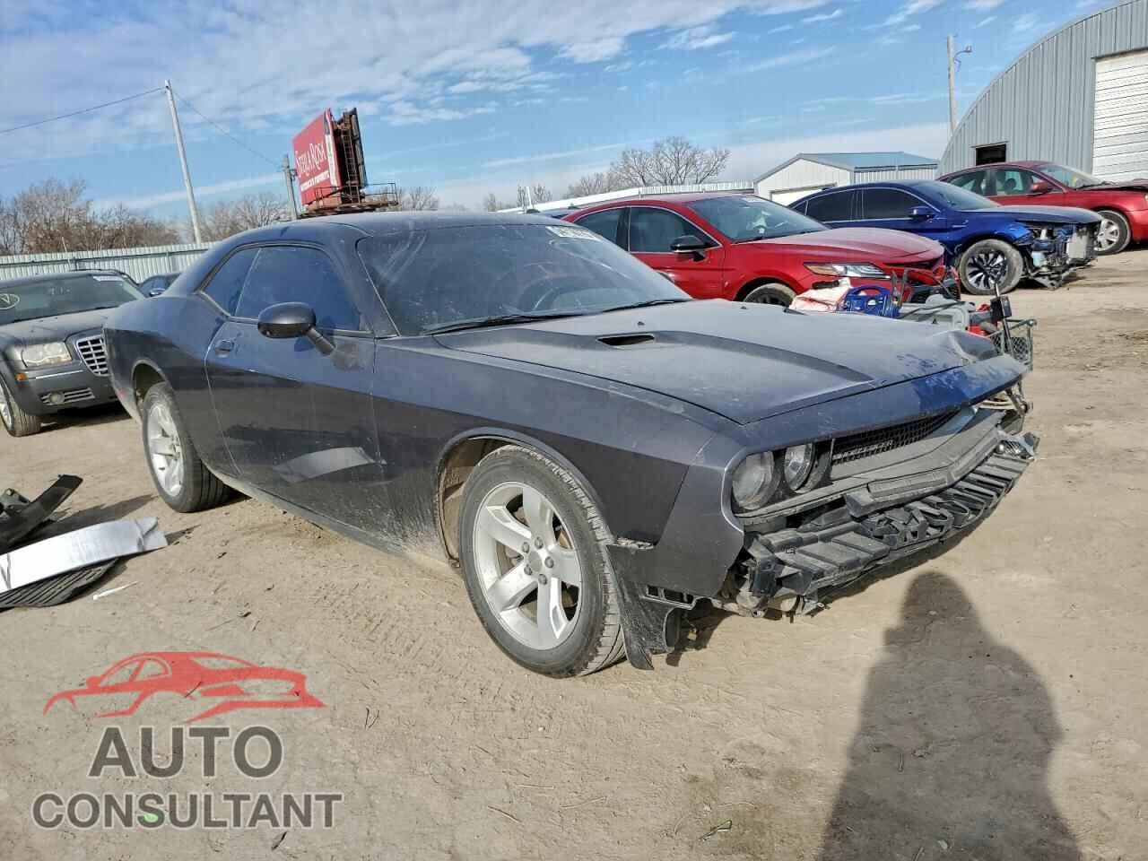 DODGE CHALLENGER 2013 - 2C3CDYAG1DH645919