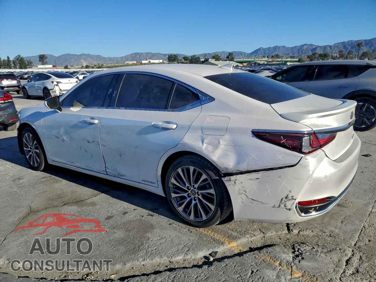 LEXUS ES300 2021 - 58ADA1C10MU005890