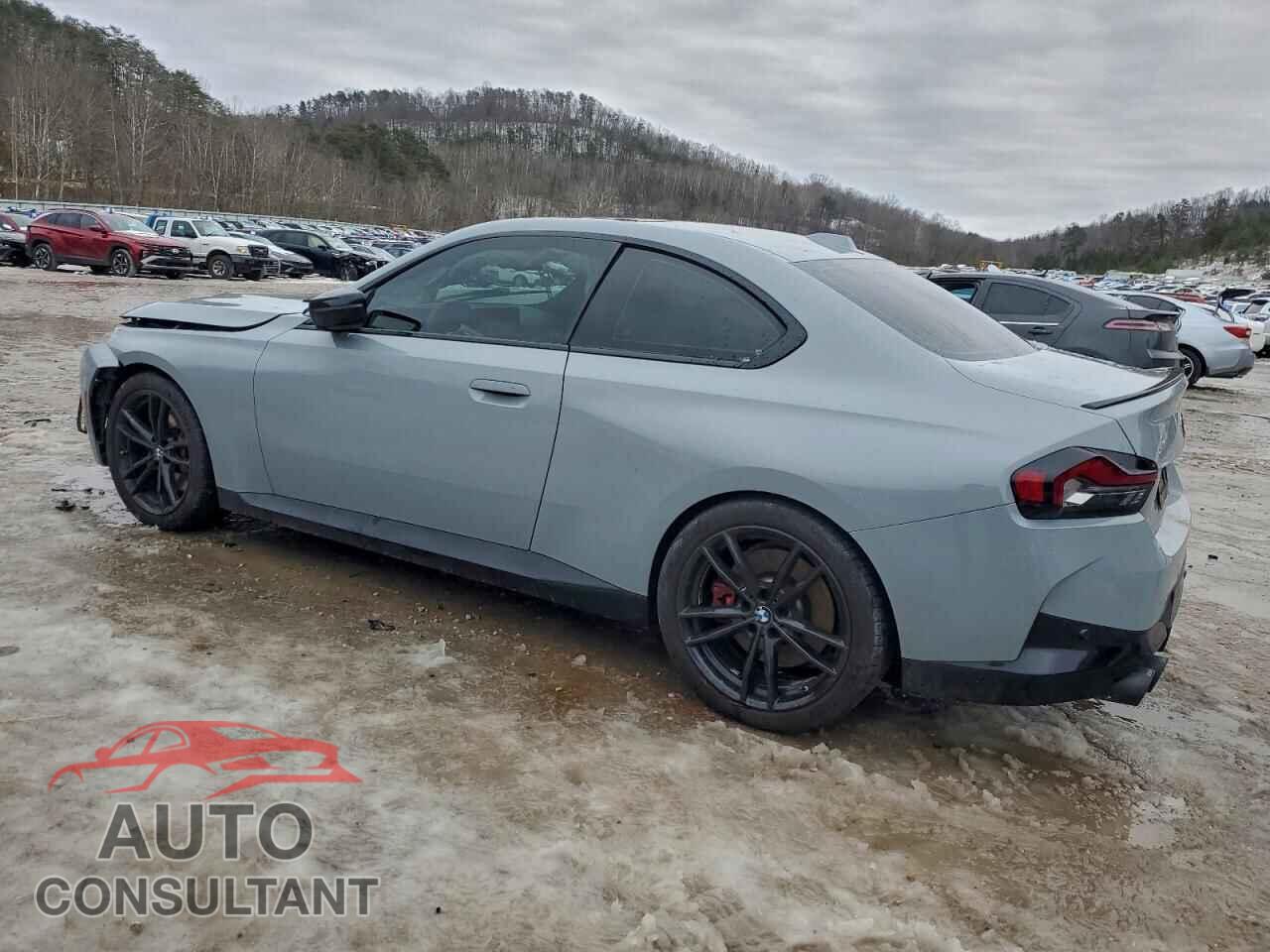 BMW M2 2024 - 3MW53CM0XR8E82419