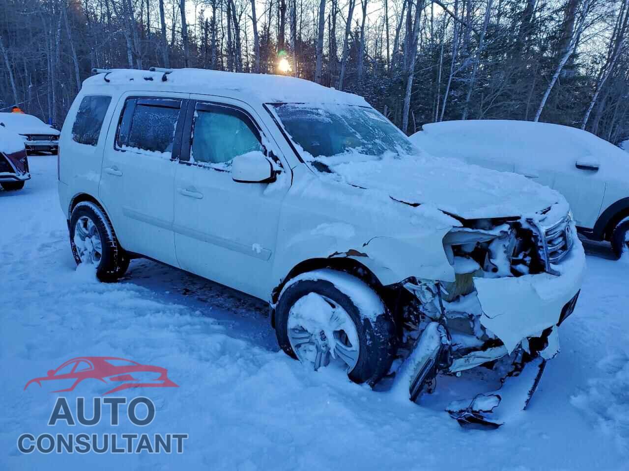 HONDA PILOT 2014 - 5FNYF4H60EB502680