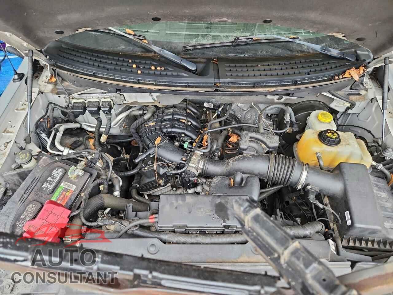 FORD F-150 2014 - 1FTEW1CM2EFA75604