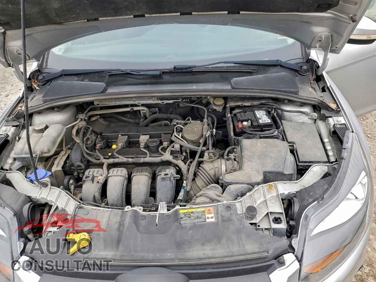 FORD FOCUS 2013 - 1FADP3F29DL201686