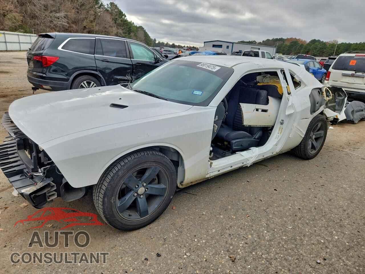 DODGE CHALLENGER 2013 - 2C3CDYAG6DH669956