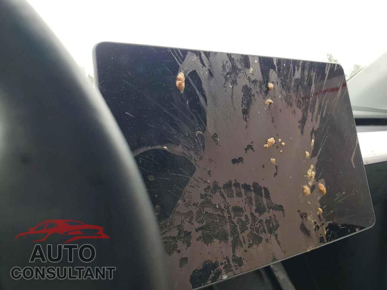 TESLA MODEL Y 2023 - 7SAYGDEE9PF611069