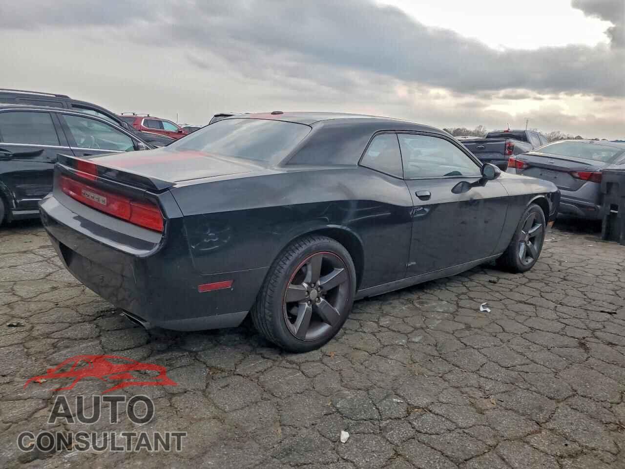 DODGE CHALLENGER 2013 - 2C3CDYAG5DH553924