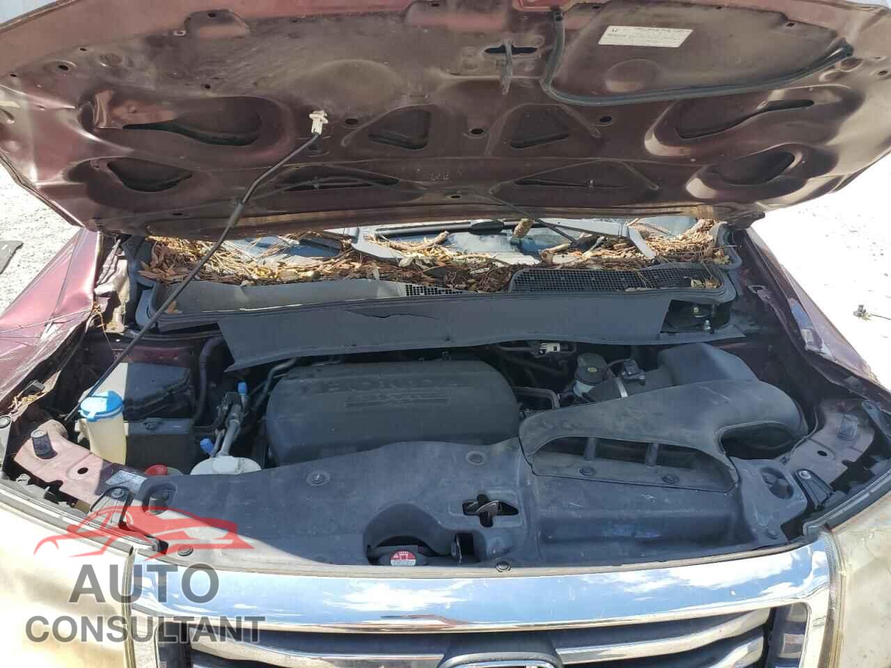 HONDA PILOT 2014 - 5FNYF3H67EB003675