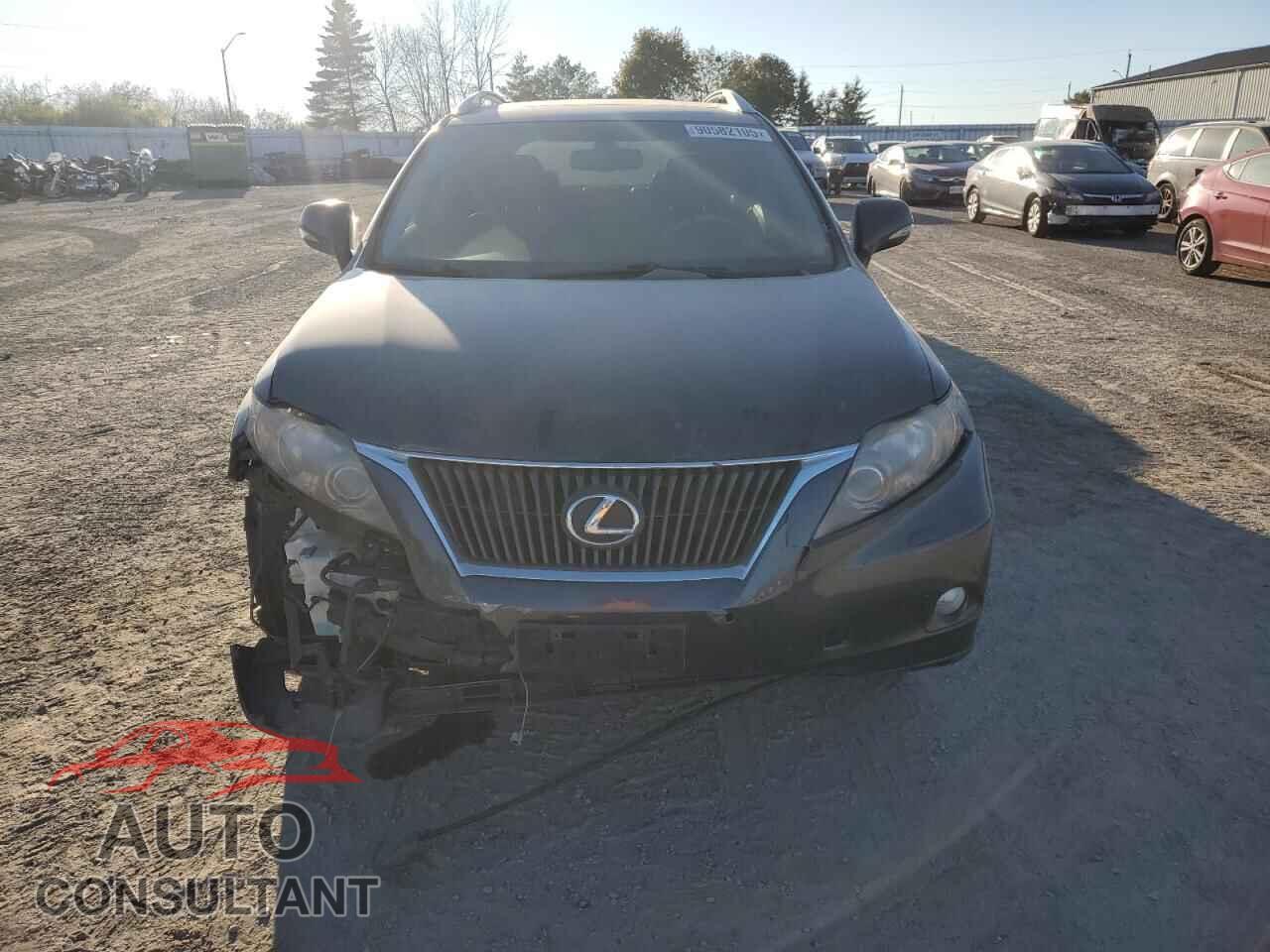 LEXUS RX350 2010 - 2T2BK1BA2AC005363