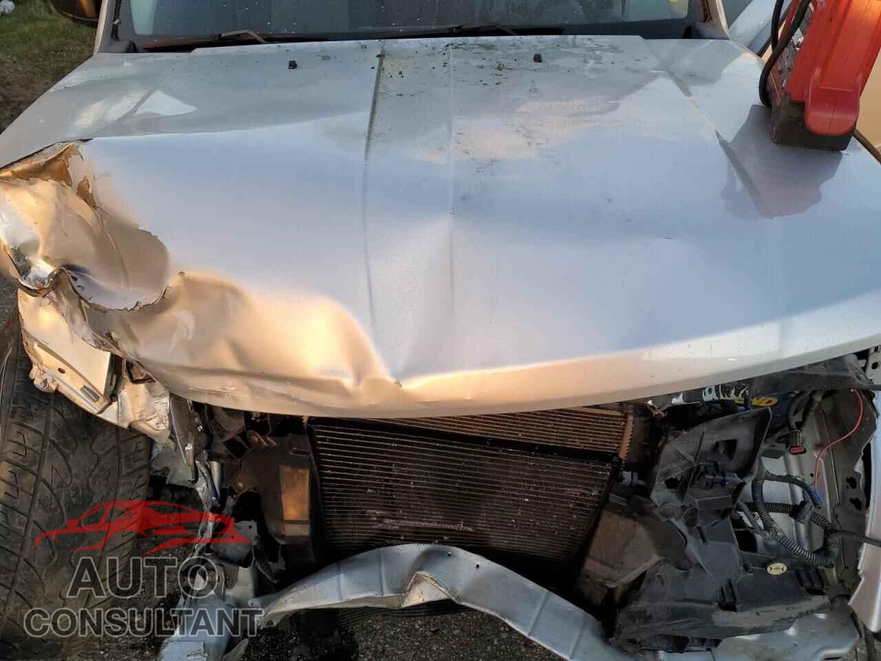 DODGE NITRO 2010 - 1D4PU2GK7AW146192