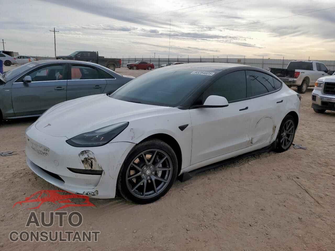 TESLA MODEL 3 2021 - 5YJ3E1EA3MF100736