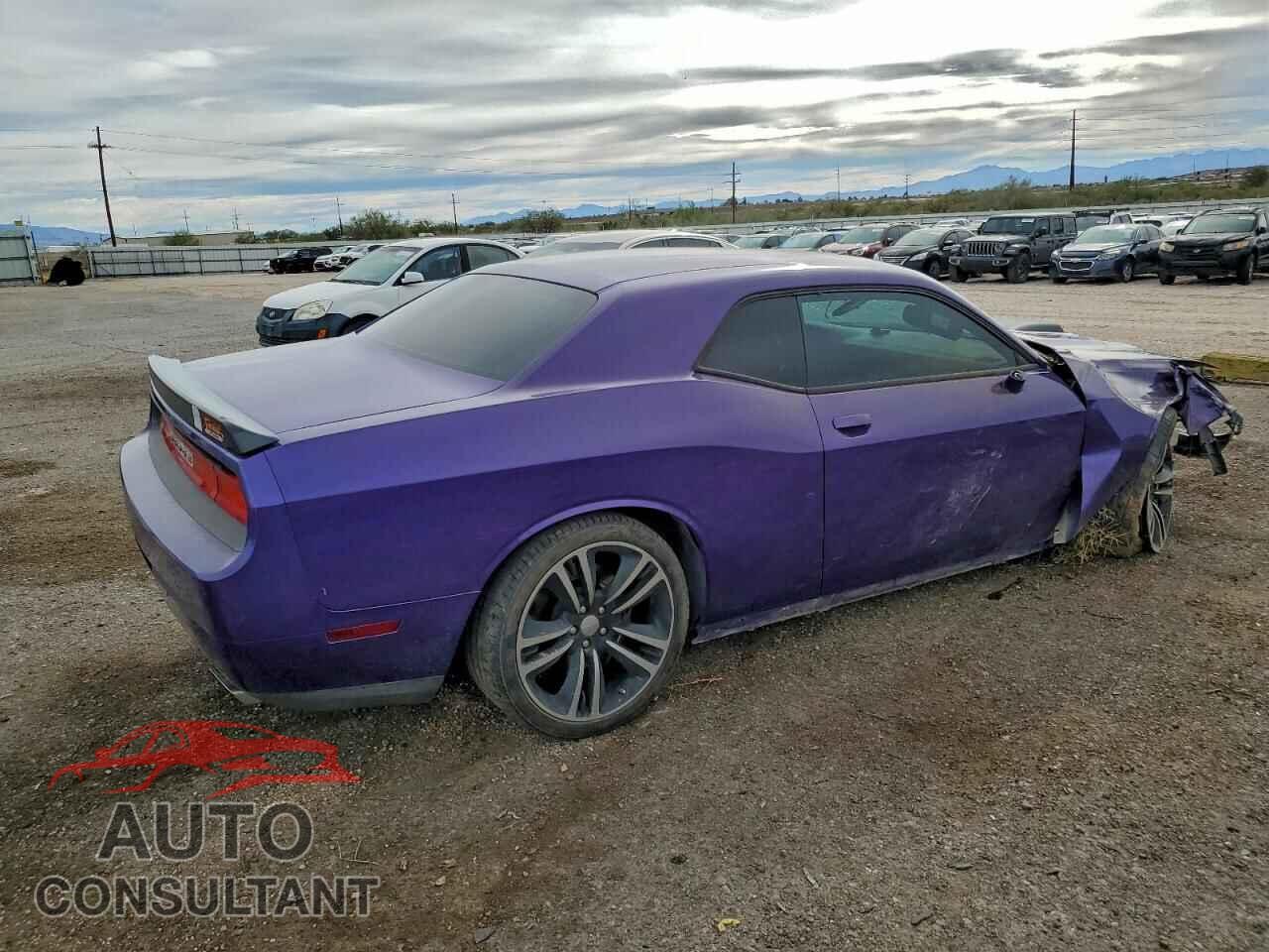 DODGE CHALLENGER 2014 - 2C3CDYDJ4EH196664