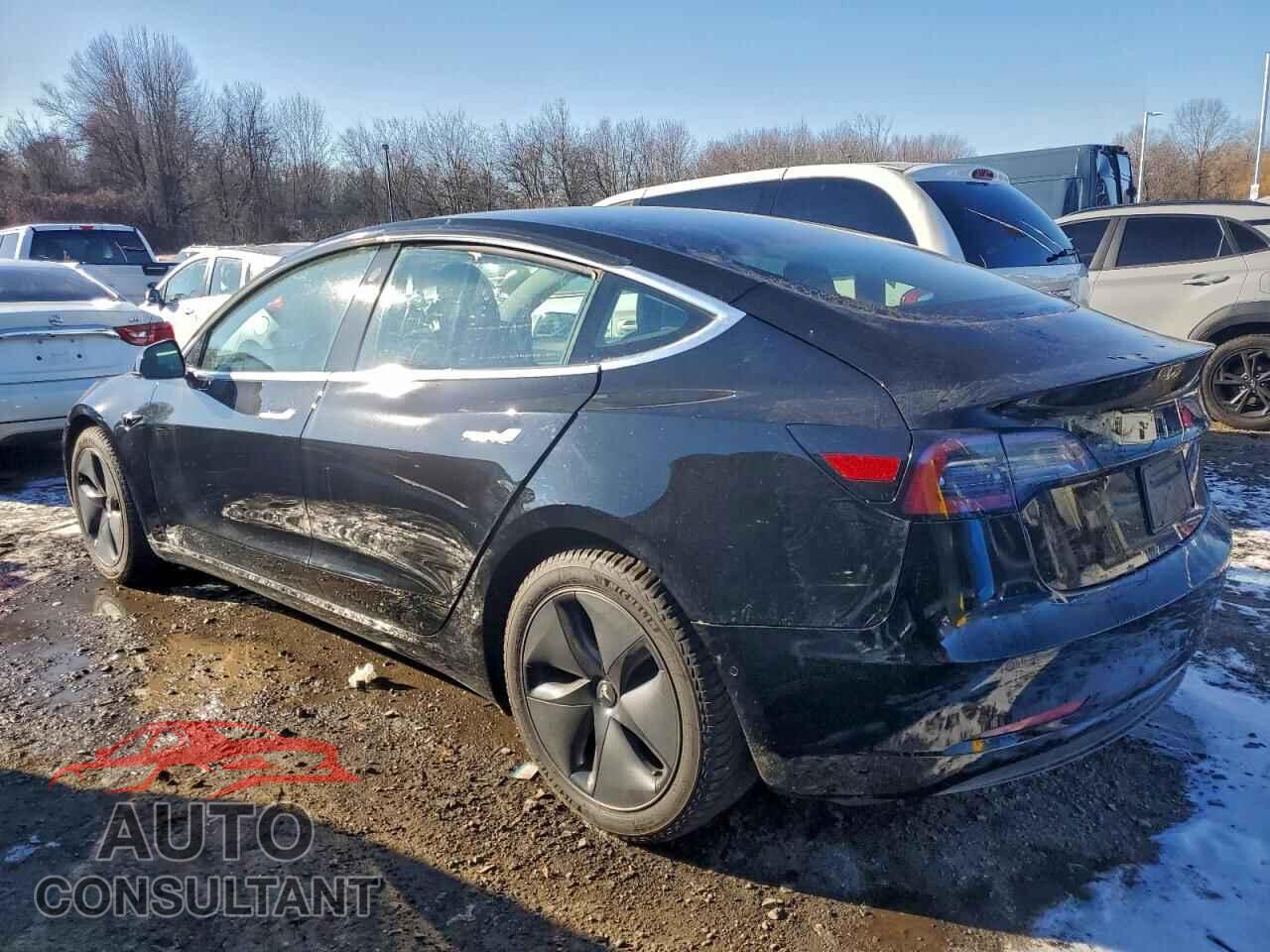 TESLA MODEL 3 2019 - 5YJ3E1EA2KF317031