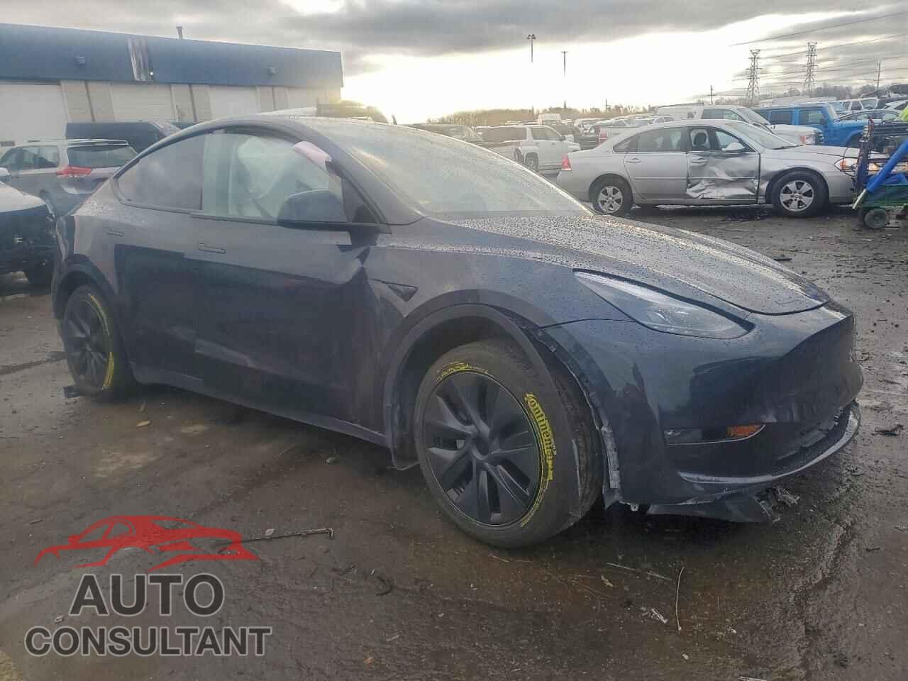 TESLA MODEL Y 2024 - 7SAYGDEE3RF208854