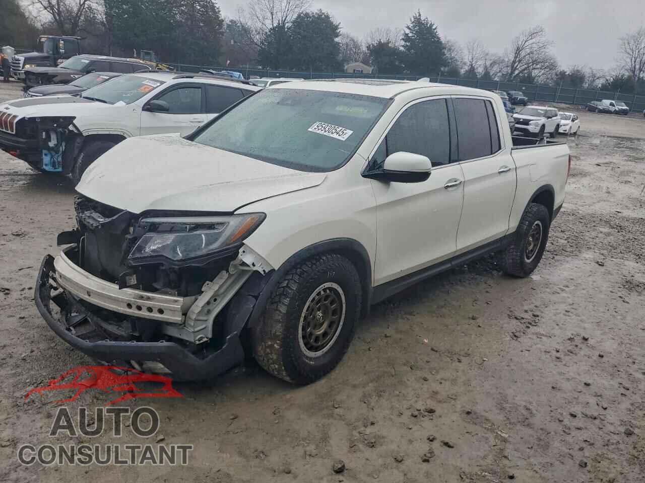 HONDA RIDGELINE 2019 - 5FPYK3F73KB013873