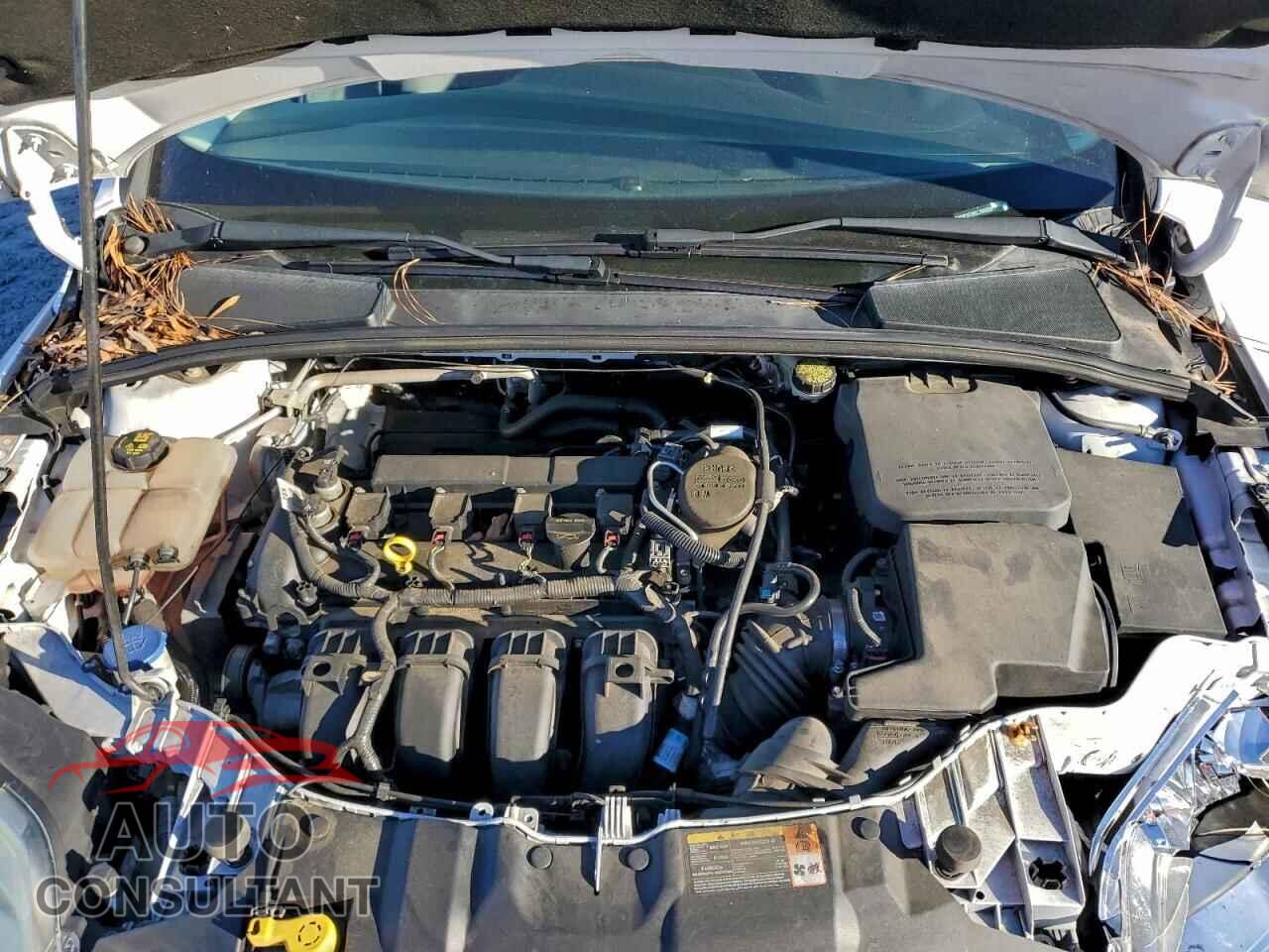 FORD FOCUS 2014 - 1FADP3F29EL159358