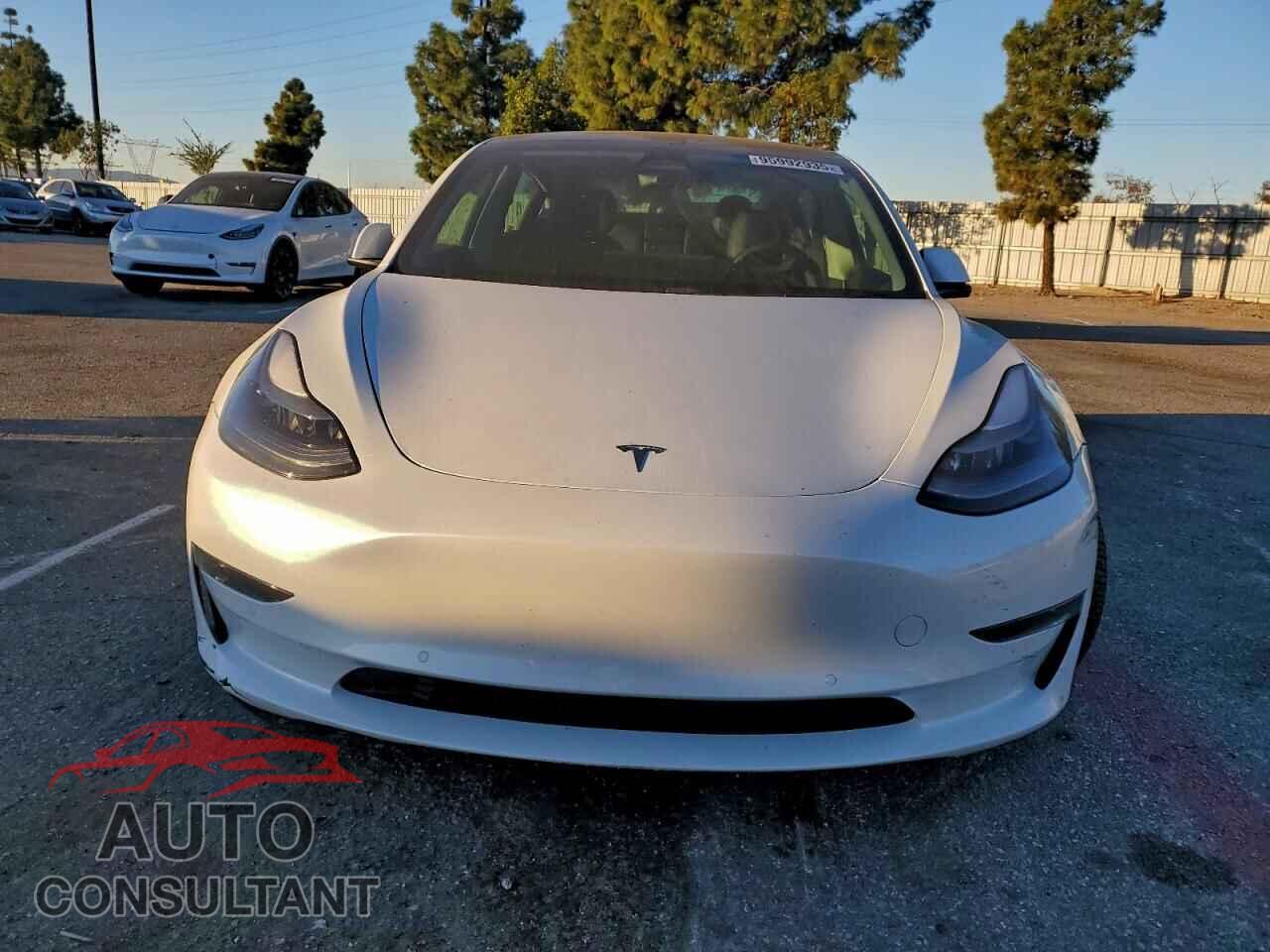 TESLA MODEL 3 2021 - 5YJ3E1EB3MF070582