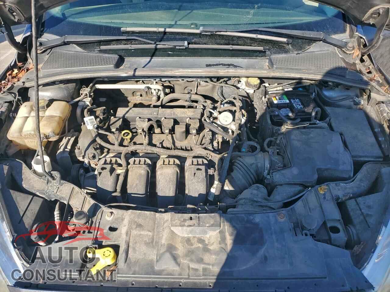 FORD FOCUS 2016 - 1FADP3E24GL343580