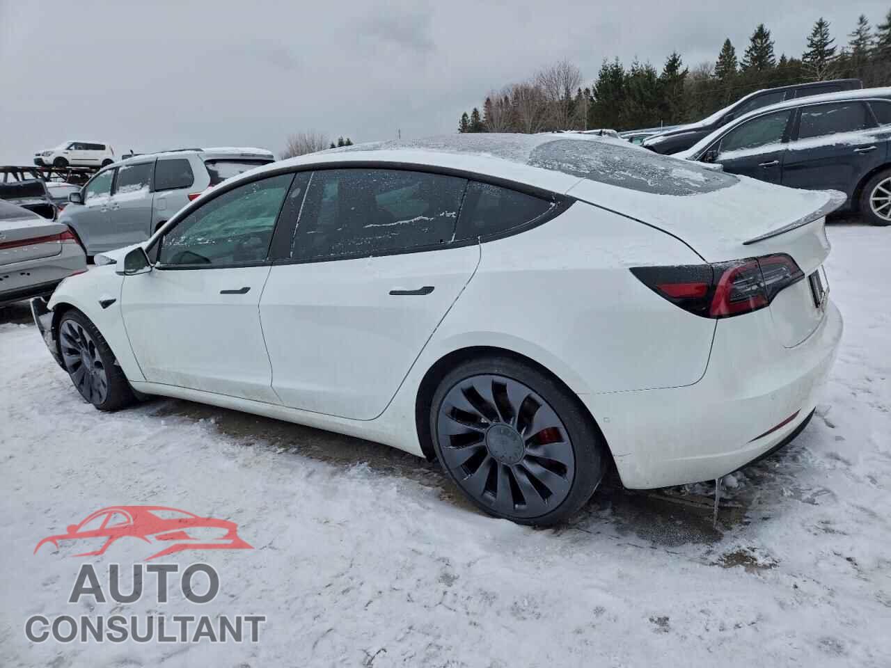 TESLA MODEL 3 2021 - 5YJ3E1EC7MF084591