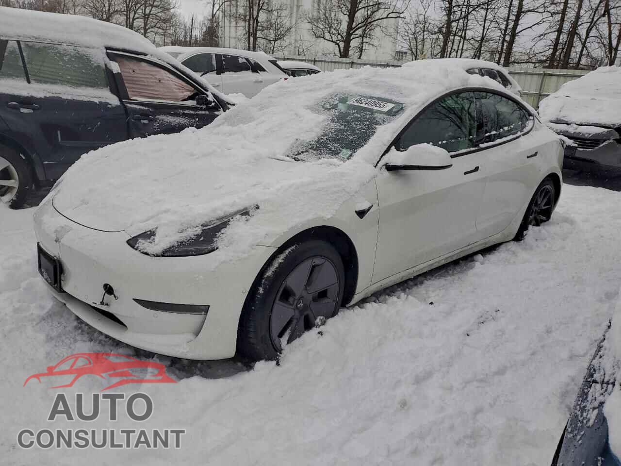 TESLA MODEL 3 2021 - 5YJ3E1EB7MF078619
