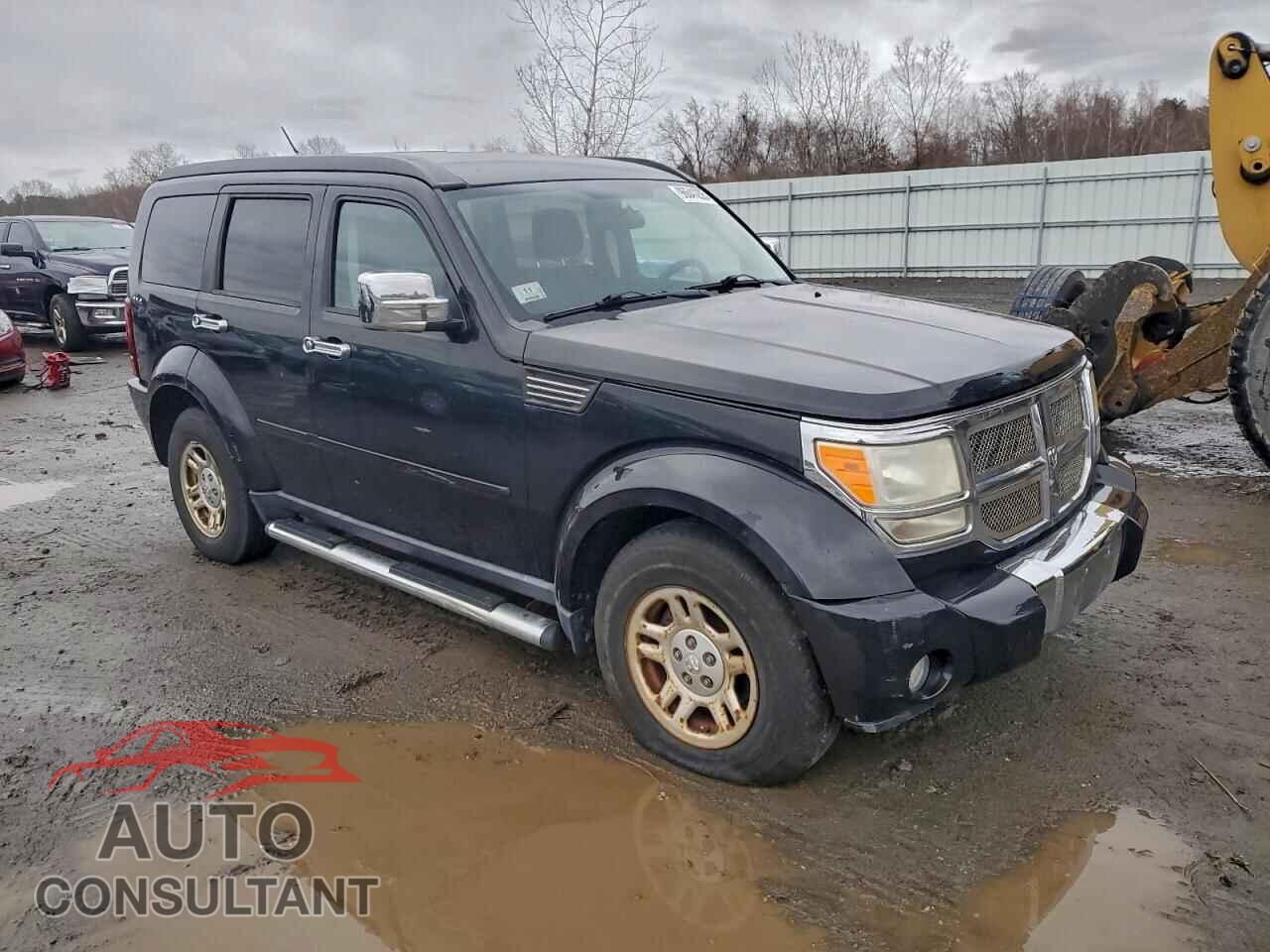 DODGE NITRO 2010 - 1D4PU2GK4AW114767